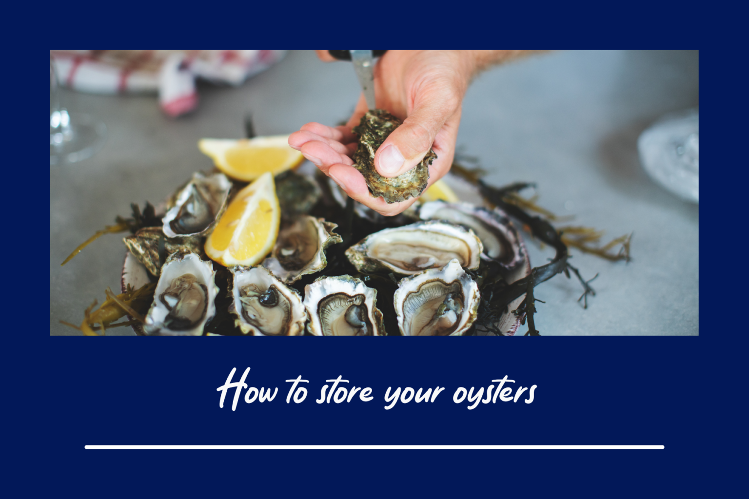 How to store your oysters CRCL